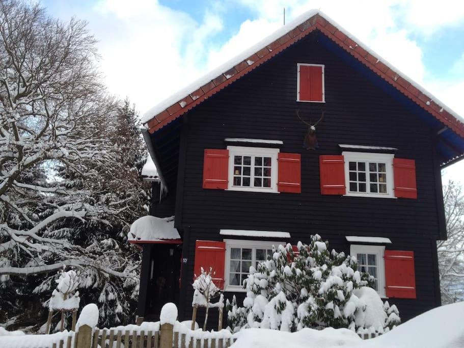 Villa Herzog - Ferienhaus Fuer 6 Personen In Braunlage, Harz Dış mekan fotoğraf